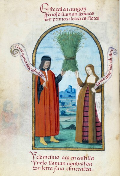 कैथोलिक राजाओं का प्रतिनिधित्व फर्डिनेंड II (1452-1516) और इसाबेला 1 कैस्टिले (1451-1504) के पास जंगली सौंफ का एक बूट है। पेड्रो मार्कुएलो द्वारा "" क्वीन जोन द फोले (1479-1555) स्पेन की भक्ति का संग्रह" से लिया गया पांडुलिपि पृष्ठ द्वारा अज्ञात कलाकार