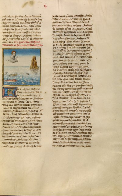  द्वारा अज्ञात कलाकार