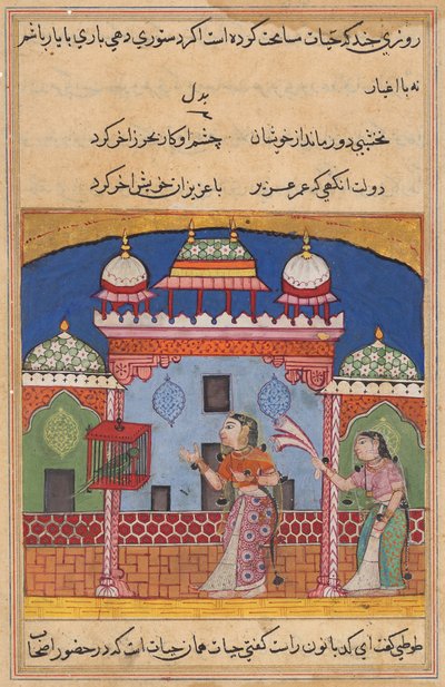 तूतीनामा (तोते की कहानियाँ) से, बाईसवीं रात की शुरुआत में तोता खुजस्ता को संबोधित करता है द्वारा अज्ञात कलाकार