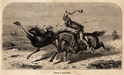 1852 और 1860 के बीच विलियम चार्ल्स बाल्डविन द्वारा अफ्रीका में शिकार की कहानी को चित्रित करने के लिए शुतुरमुर्ग का शिकार, एक तस्वीर से खींचा गया। एडौर्ड चार्टन द्वारा संपादित "" ले टूर डू मोंडे" में उत्कीर्णन द्वारा अज्ञात कलाकार