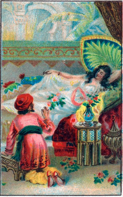 राजकुमार और राजकुमारी। टेल "" मंत्रमुग्ध घोड़े का इतिहास "" "" थाउजेंड एंड वन नाइट्स "" (द १००१ नाइट्स या ले मिले ई उना नोट, अरेबियन नाइट्स)। 19 वीं शताब्दी के उत्तरार्ध की क्रोमोलिथोग्राफी। द्वारा अज्ञात कलाकार