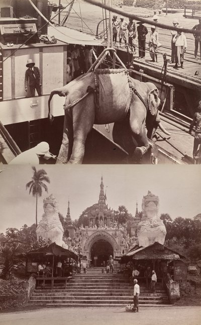  द्वारा अज्ञात कलाकार