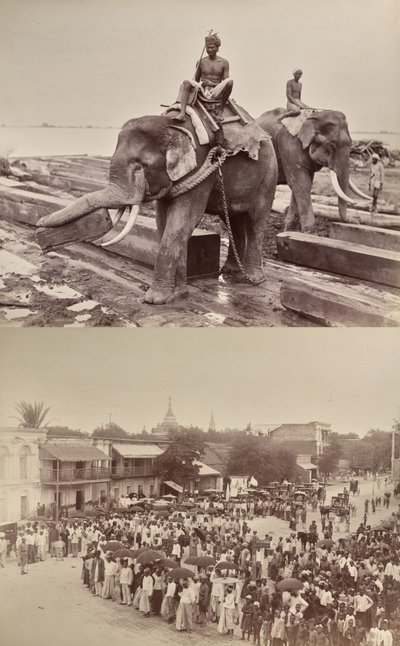  द्वारा अज्ञात कलाकार