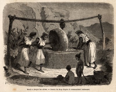 महिलाओं का काम, जैतून पीसने की चक्की, जोजुरा (अल्जीरिया) में मुख्य कृषि उत्पादों में से एक है। 1864 में, कमांडर डुहौसेट द्वारा, "" ले टूर डू मो में, भूमध्यसागरीय और जिजुरा के बीच महान काबिली के भ्रमण को चित्रित करने के लिए उत्कीर्णन द्वारा अज्ञात कलाकार
