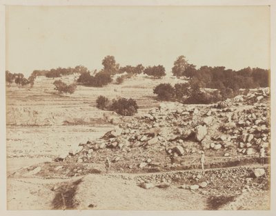 अमीर याकूब खान का शिविर, जहां गंडमक की संधि पर हस्ताक्षर किए गए थे, जाफेद सिंग, मई 1879 द्वारा अज्ञात फोटोग्राफर