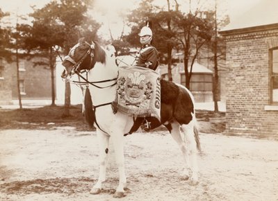 ड्रम-घोड़ा, वेल्स के तीसरे राजकुमार ड्रैगून गार्ड , 1895 के लगभग द्वारा अज्ञात फोटोग्राफर
