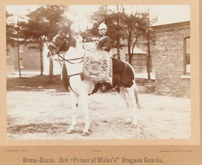 ड्रम-घोड़ा, वेल्स के तीसरे राजकुमार ड्रैगून गार्ड , 1895 के लगभग द्वारा अज्ञात फोटोग्राफर