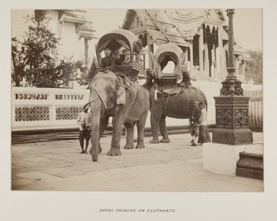 फोटो एलबम में फोटो द्वारा अज्ञात फोटोग्राफर