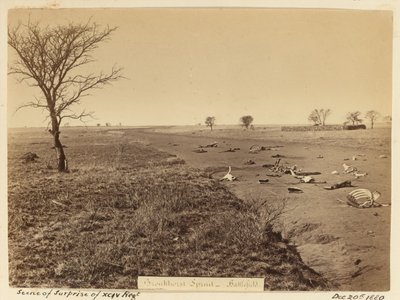 Xciv रेजिमेंट के आश्चर्य का दृश्य , 1881 द्वारा अज्ञात