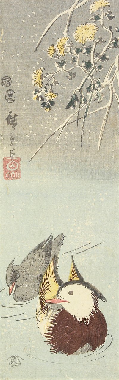 (गुलदाउदी और मंदारिन बतख), फरवरी 1854 द्वारा Utagawa Hiroshige