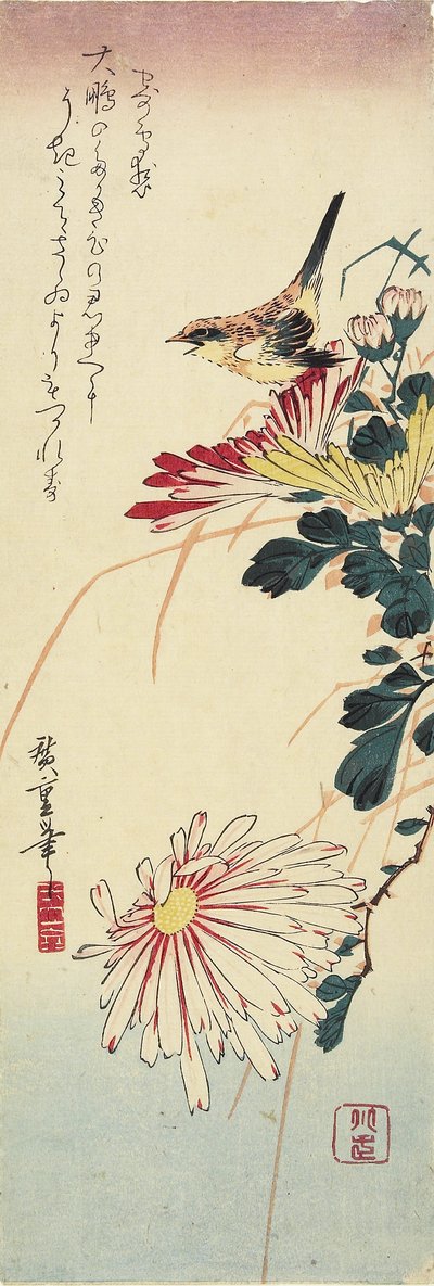 (गुलदाउदी और एक श्रीके), 1830-1858 द्वारा Utagawa Hiroshige