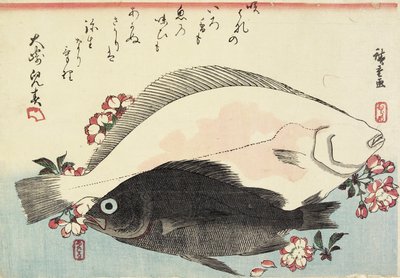 (फ्लूक और ब्लैक बास, चेरी ब्लॉसम) द्वारा Utagawa Hiroshige