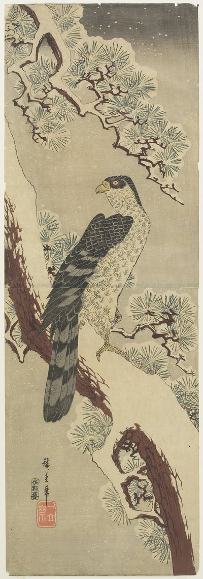 (हॉक ऑन पाइन ब्रांच, विंटर), 19 वीं सदी की शुरुआत में द्वारा Utagawa Hiroshige