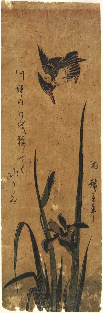 (आइरिस और किंगफिशर), 1830-1858 द्वारा Utagawa Hiroshige