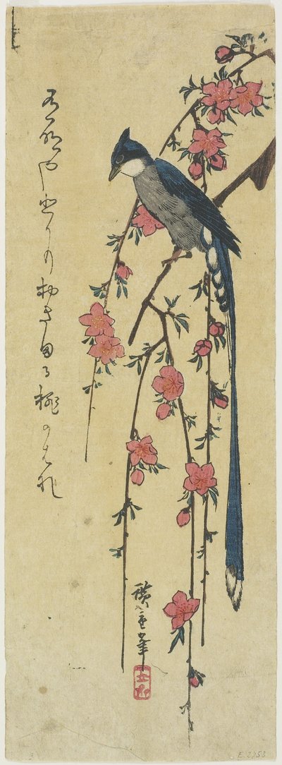 (चेरी के पेड़ पर लंबी पूंछ वाला मुर्गा) द्वारा Utagawa Hiroshige