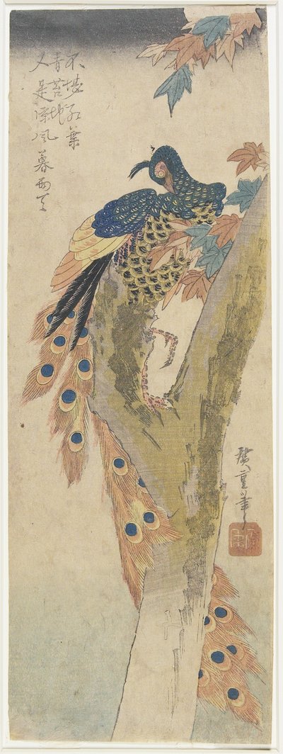 (मेपल ट्री पर मोर), 19 वीं सदी की शुरुआत में द्वारा Utagawa Hiroshige