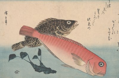 अमदाई, मेबारू और वसाबी रूट द्वारा Utagawa Hiroshige
