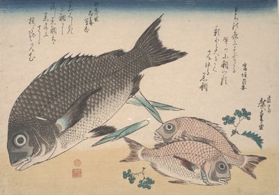 ब्लैक सी ब्रीम, स्मॉल सी ब्रीम, शतावरी शूट, और सैंशो पेप्पर, c.1830 द्वारा Utagawa Hiroshige