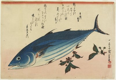 बोनिटो और चेरी लीव्स, 1832-1833 द्वारा Utagawa Hiroshige