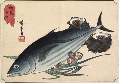 बोनिटो और शीर्ष गोले, 19 वीं सदी की शुरुआत में द्वारा Utagawa Hiroshige