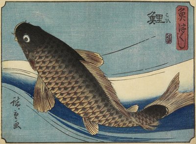 कार्प, 1830-1844 द्वारा Utagawa Hiroshige