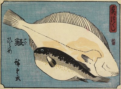 ग्लोबफ़िश और फ्लाउंडर, 1830-1844 द्वारा Utagawa Hiroshige