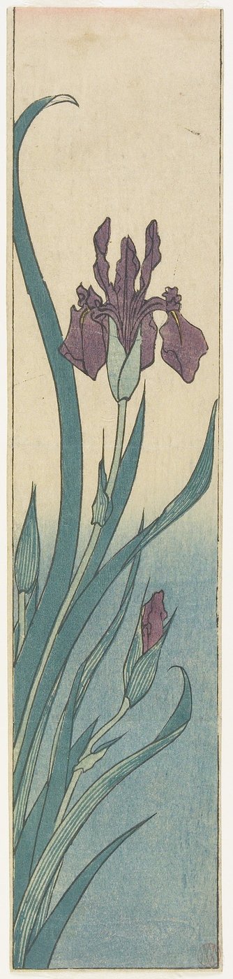 आईरिस, 19 वीं सदी की शुरुआत में द्वारा Utagawa Hiroshige