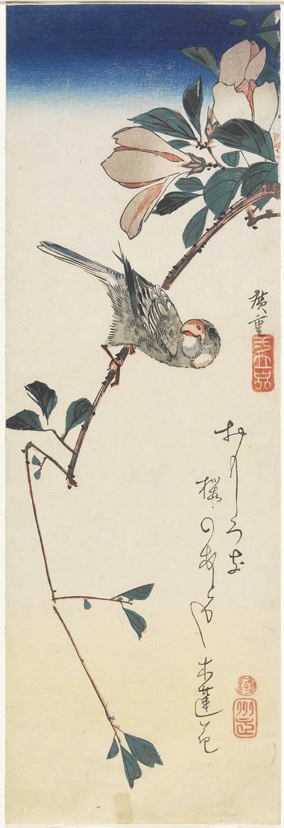 जावा स्पैरो और मैग्नोलिया, 1834-1839 द्वारा Utagawa Hiroshige