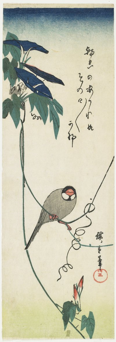 जावा स्पैरो और मॉर्निंग गल्र्स, 1834-1839 द्वारा Utagawa Hiroshige
