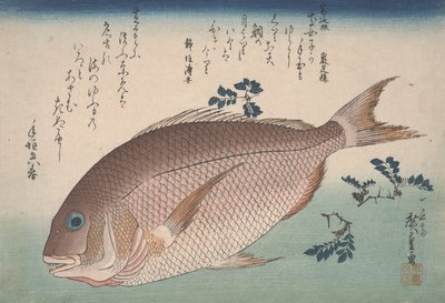 सी ब्रीम और सैंशो काली मिर्च, c.1830 द्वारा Utagawa Hiroshige