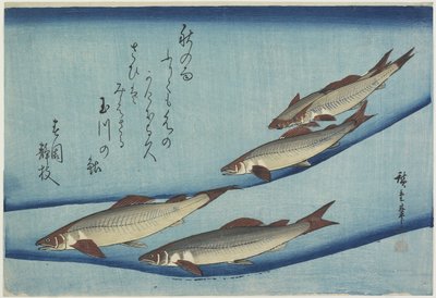 स्वीटफिश, 1832-1833 द्वारा Utagawa Hiroshige