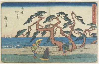 हमामत्सु में पाइन फील्ड, 1841-1842 द्वारा Utagawa Hiroshige