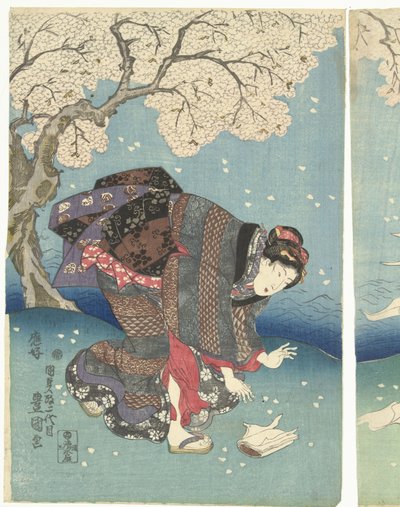  द्वारा Shimizu