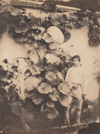 कद्दू की बेल वाला लड़का, 1854। द्वारा वेरिन फ्रेरेसो