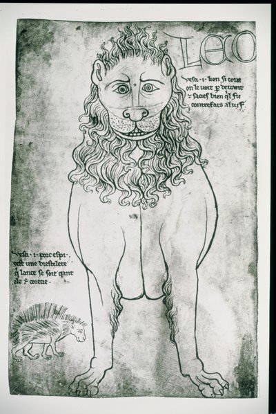 सुश्री फ्र 19093 fol.24v शेर और साही द्वारा विलार्ड डी होन्नेकोर्ट