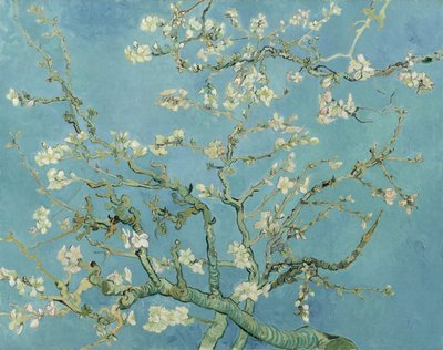 बादाम फूल द्वारा Vincent van Gogh