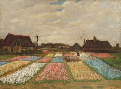 हॉलैंड में फूलों के बिस्तर। 1883 के आसपास द्वारा Vincent van Gogh