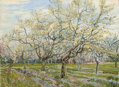 सफेद बाग। 1888 द्वारा Vincent van Gogh