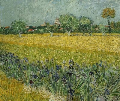 Arles के पास irises के साथ फ़ील्ड। मई 1888 द्वारा विन्सेंट वैन गॉग