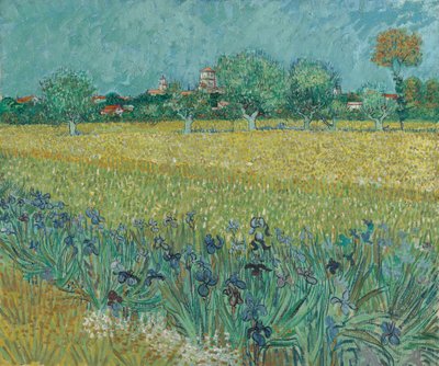 खेतों के पास फूल द्वारा Vincent van Gogh