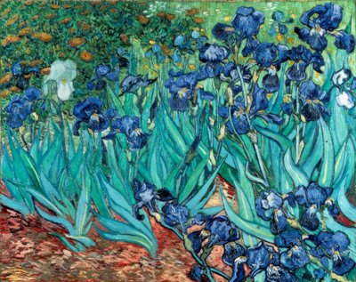 आइरिस (irises) द्वारा Vincent van Gogh