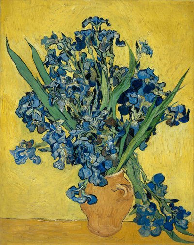Irises द्वारा Vincent van Gogh