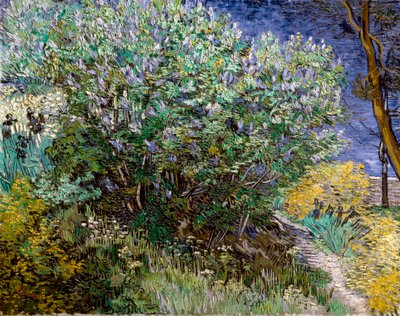 बकाइन झाड़ी। विन्सेंट वैन गॉग (1853-1890) द्वारा Vincent van Gogh