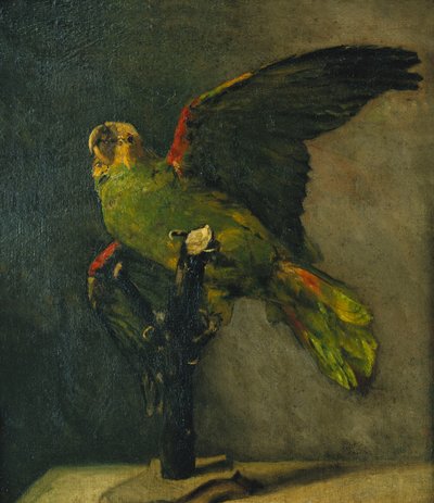द ग्रीन पैरट; द ग्रीन पैरट, 1885 द्वारा विन्सेंट वैन गॉग
