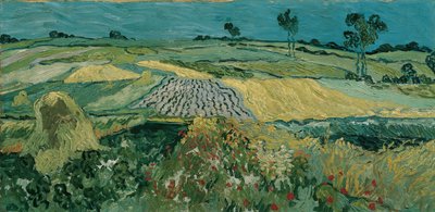 ऑवर्स का मैदान, 1890 द्वारा Vincent van Gogh