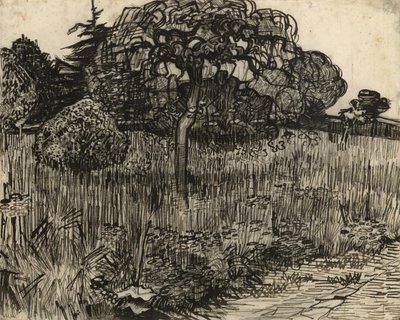 वेपिंग ट्री, 1889 द्वारा विन्सेंट वैन गॉग