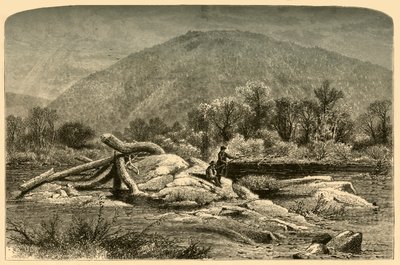 माउंट चेस्टरफील्ड, 1874। द्वारा डब्ल्यूएच मोर्स