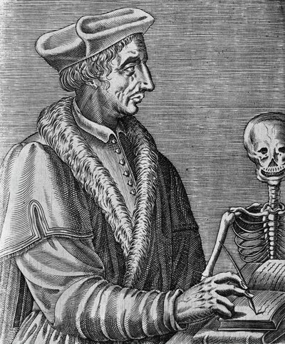 जीन फ्रेंकोइस फ़र्नेल (1497-1558) का पोर्ट्रेट, फ्रांसीसी चिकित्सक, खगोलशास्त्री और गणितज्ञ, निकोलस II डी लार्मेसिन द्वारा उत्कीर्ण (सीए 1638-1694) द्वारा WG (बाद) थायर