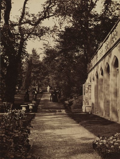  द्वारा डब्ल्यू ग्राहम विवियन