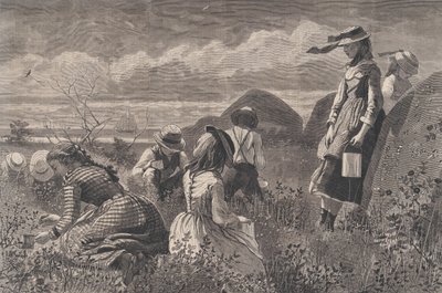 गैदरिंग बेरीज हार्पर्स वीकली, वॉल्यूम। XVIII, 11 जुलाई, 1874। द्वारा डब्ल्यूएच लेगार्ड